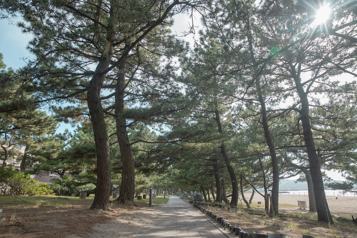 周辺施設 瀬戸内海国立公園慶野松原